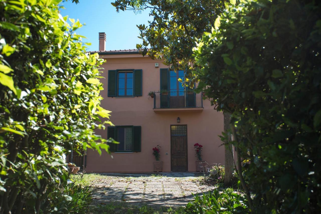 La Villa Delle Rose 罗马 外观 照片